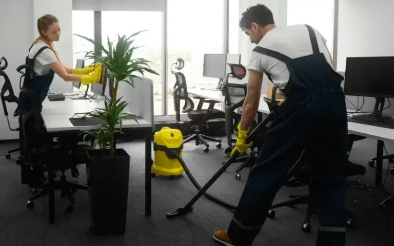 Residential and Commercial Cleanliness